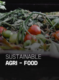 Sustainable agri-food